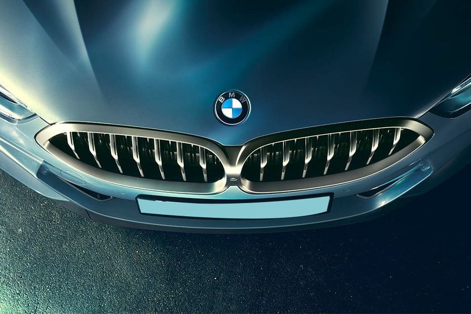 BMW 8 Series Coupe Grille
