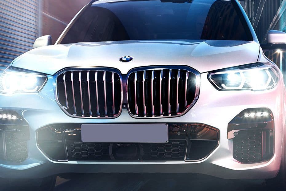 BMW X5 Grille