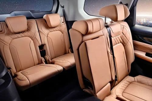 Exeed VX Rear Seat Belt