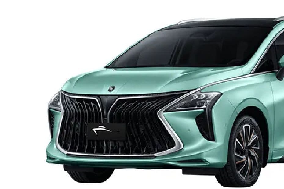 Forthing U Tour Grille