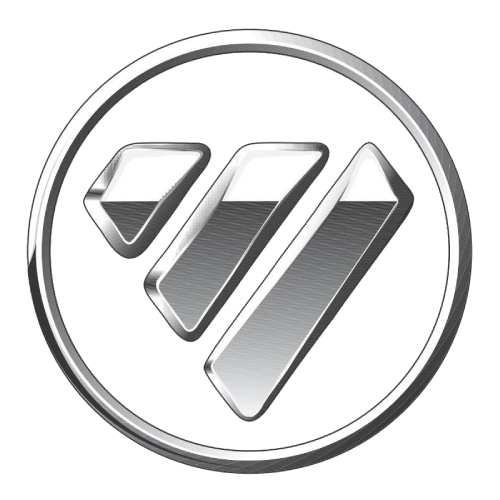 Foton Cars