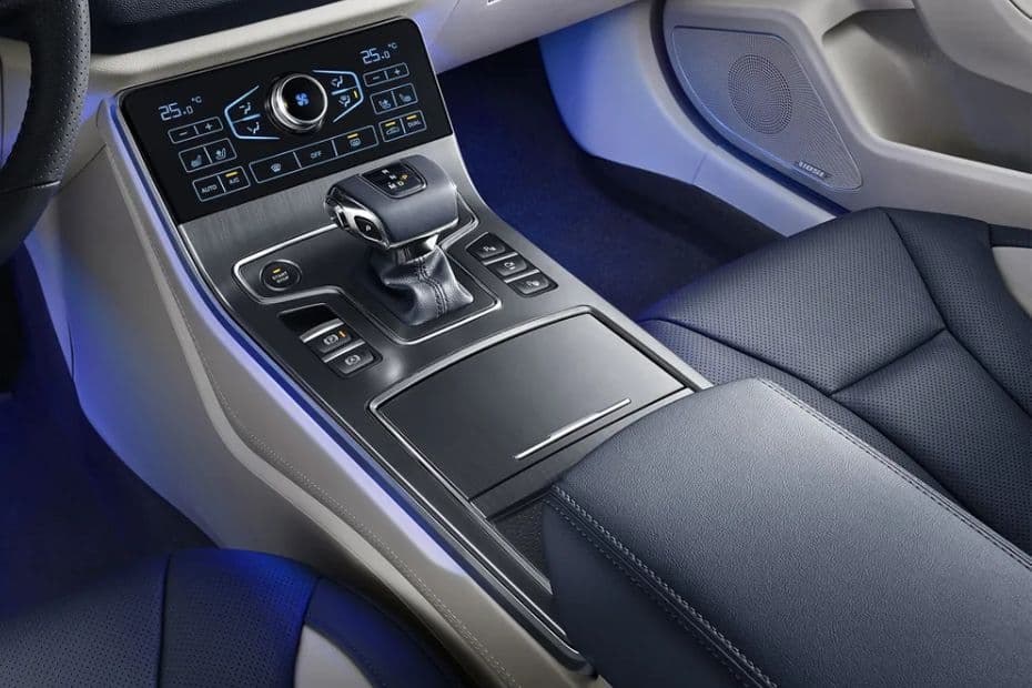 Hongqi H5 Gear Shifter