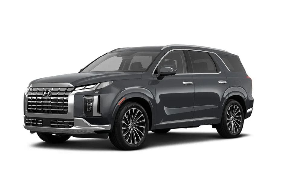 Hyundai Palisade Left Side Front View