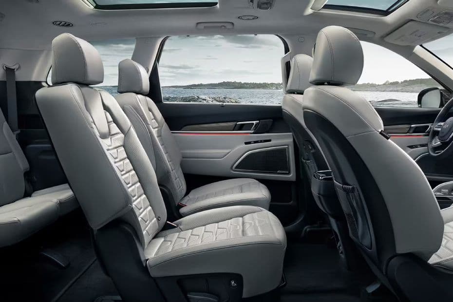 Kia Telluride Seat Side View