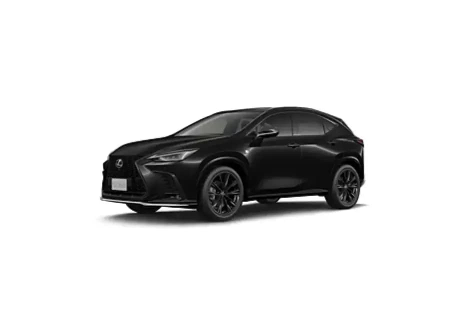 Graphite Black Glass Flake