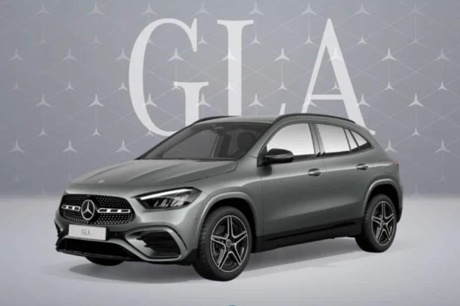 Grey MAGNO