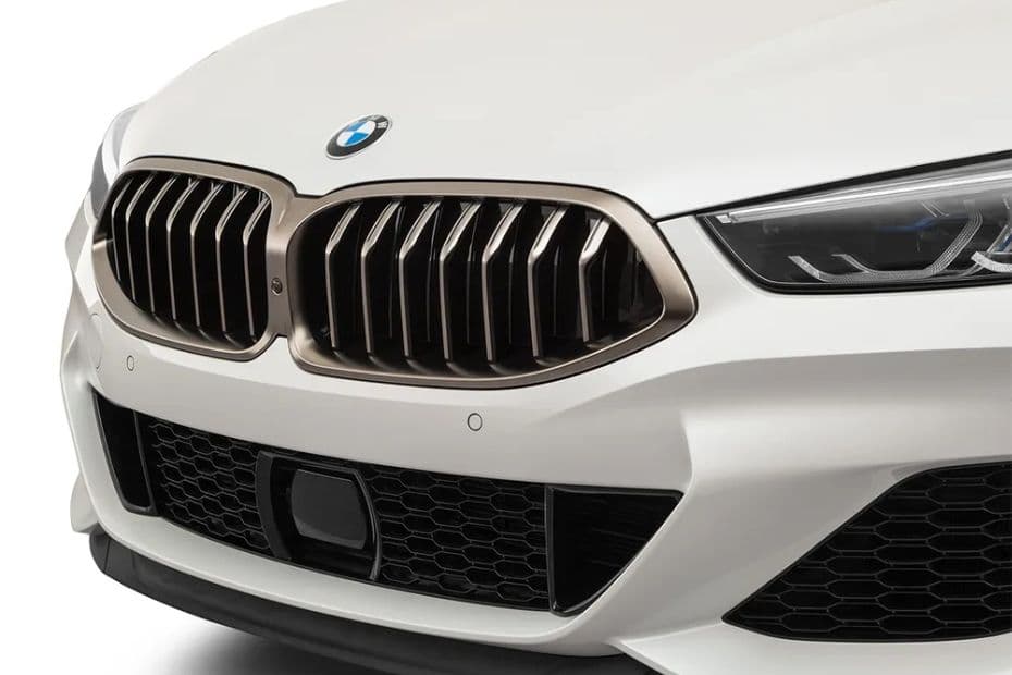 BMW 8 Series Grand Coupe Grille