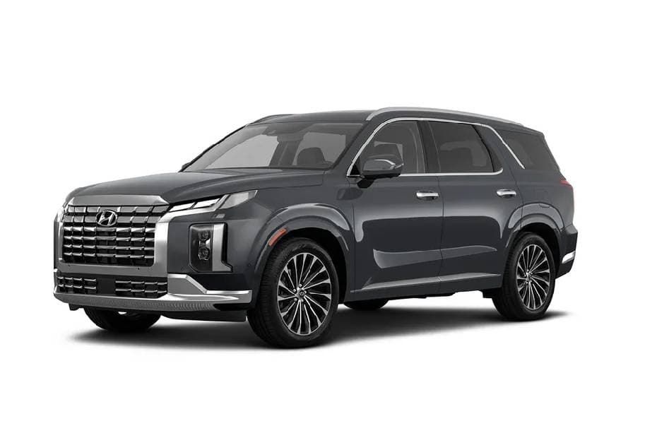 Hyundai palisade 2024 Left Side Front View