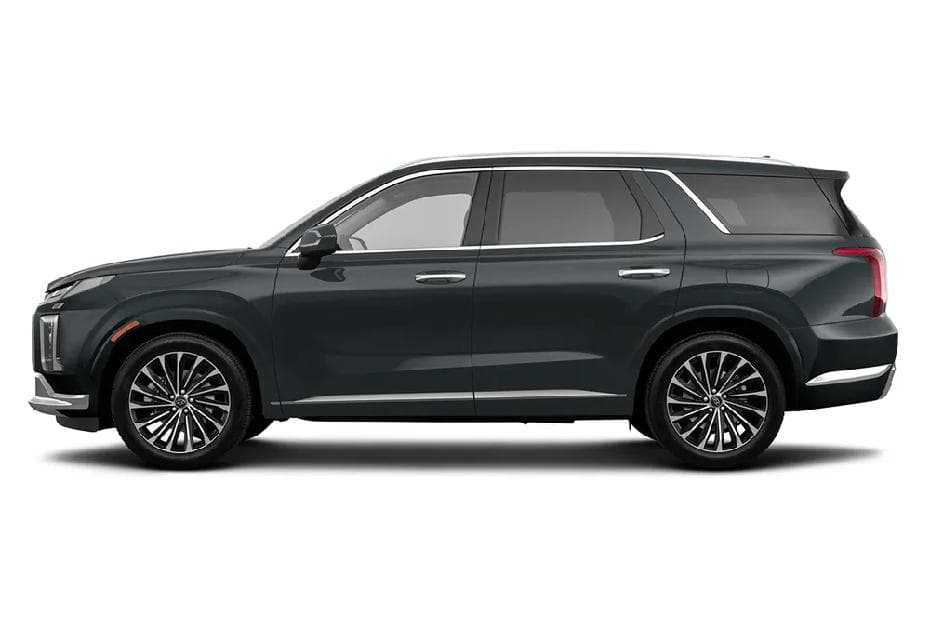 Hyundai Palisade left Side View
