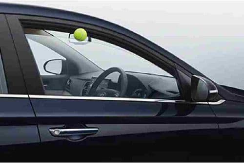 Driver Power Window Pinch Guard