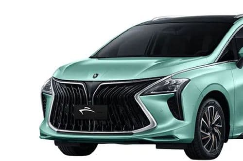 Forthing U Tour Grille