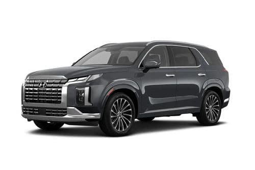 Hyundai Palisade Left Side Front View