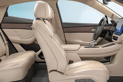 Seres 5 Rear Seat