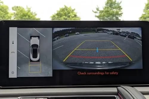 Parking camera