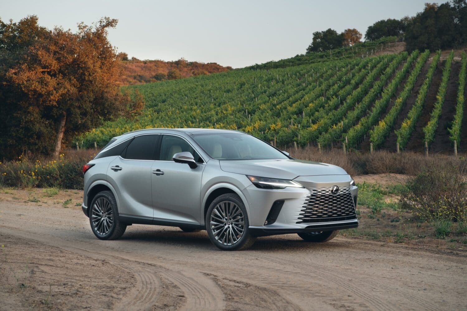 Lexus Unveils Enhanced 2026 RX Crossover: Luxury, Performance, and Advanced Safety Features Lexus Unveils Enhanced 2026 RX Crossover: Luxury, Performance, and Advanced Safety Features